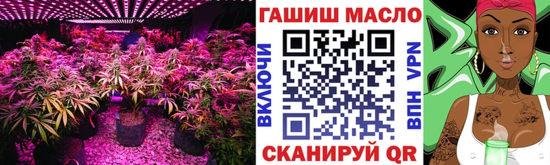 ТГК вейп с тгк  цены   Мензелинск 